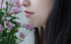 粉红顽皮豹图片